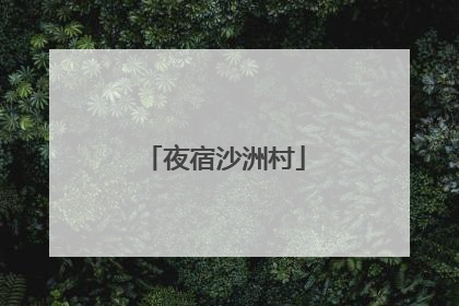 夜宿沙洲村