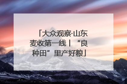 大众观察·山东麦收第一线丨“良种田”里产好粮