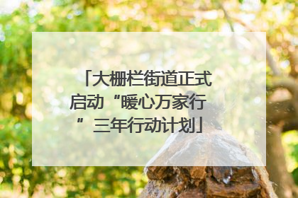 大栅栏街道正式启动“暖心万家行”三年行动计划