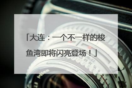 大连：一个不一样的梭鱼湾即将闪亮登场！