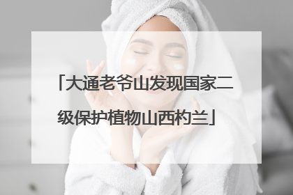 大通老爷山发现国家二级保护植物山西杓兰