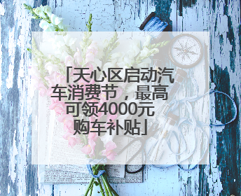 天心区启动汽车消费节，最高可领4000元购车补贴