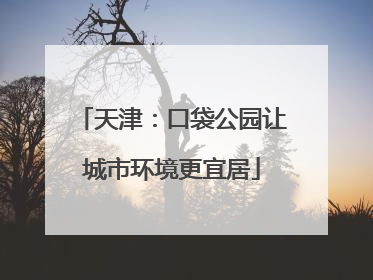天津：口袋公园让城市环境更宜居