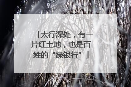 太行深处，有一片红土地，也是百姓的“绿银行”