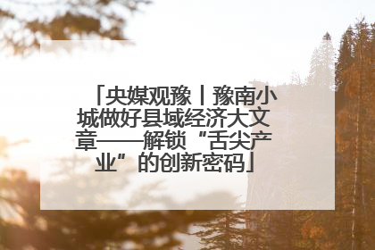 央媒观豫丨豫南小城做好县域经济大文章——解锁“舌尖产业”的创新密码