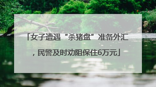 女子遭遇“杀猪盘”准备外汇，民警及时劝阻保住6万元