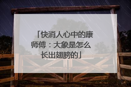 快消人心中的康师傅：大象是怎么长出翅膀的