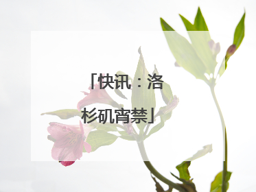 快讯：洛杉矶宵禁