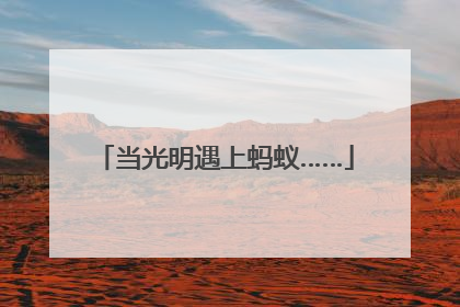 当光明遇上蚂蚁……