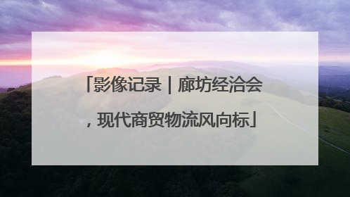 影像记录｜廊坊经洽会，现代商贸物流风向标