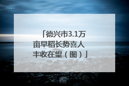 德兴市3.1万亩早稻长势喜人 丰收在望（图）
