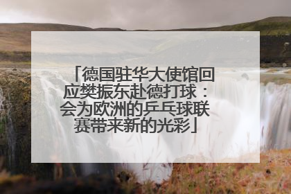 德国驻华大使馆回应樊振东赴德打球：会为欧洲的乒乓球联赛带来新的光彩