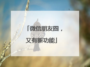 微信朋友圈，又有新功能