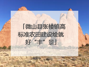 微山县张楼镇高标准农田建设绘就好“丰”景
