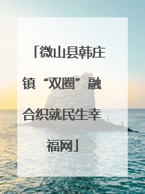 微山县韩庄镇“双圈”融合织就民生幸福网