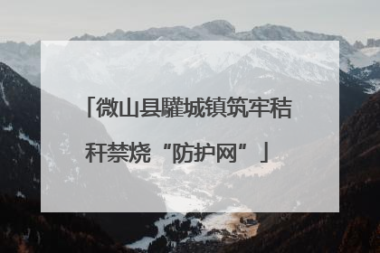 微山县驩城镇筑牢秸秆禁烧“防护网”