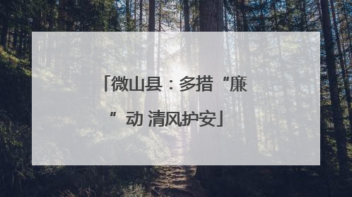 微山县：多措“廉”动 清风护安