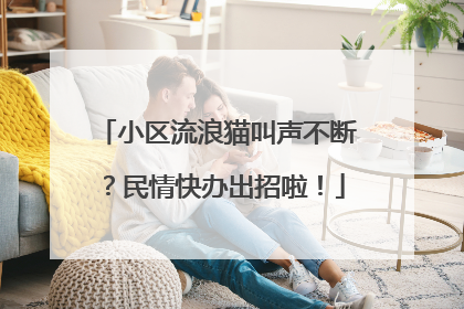 小区流浪猫叫声不断？民情快办出招啦！