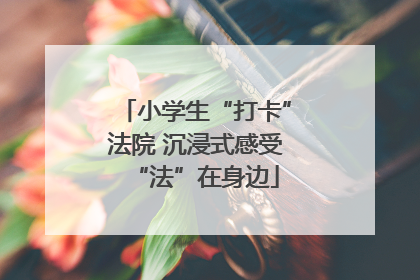 小学生“打卡”法院 沉浸式感受“法”在身边