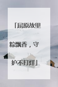 屈原故里粽飘香，守护不打烊