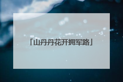 山丹丹花开拥军路