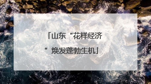 山东“花样经济”焕发蓬勃生机