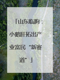 山东临朐：小鹅肝拓出产业富民“新赛道”
