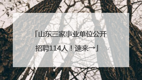 山东三家事业单位公开招聘114人！速来→