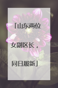 山东两位女副区长，同日履新