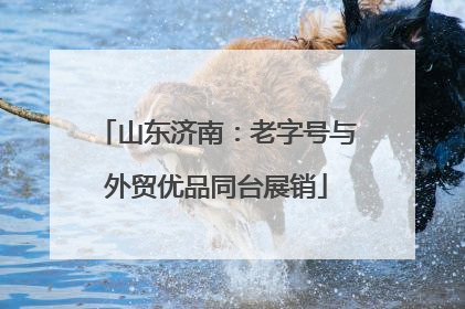 山东济南：老字号与外贸优品同台展销