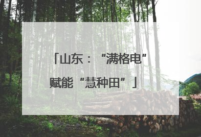 山东：“满格电”赋能“慧种田”