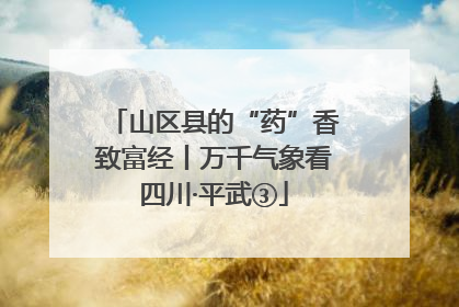 山区县的“药”香致富经丨万千气象看四川·平武③