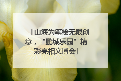 山海为笔绘无限创意，“鹏城乐园”精彩亮相文博会