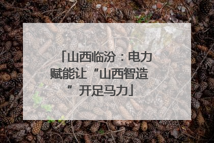 山西临汾：电力赋能让“山西智造”开足马力