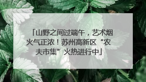 山野之间过端午，艺术烟火气正浓！苏州高新区“农夫市集”火热进行中