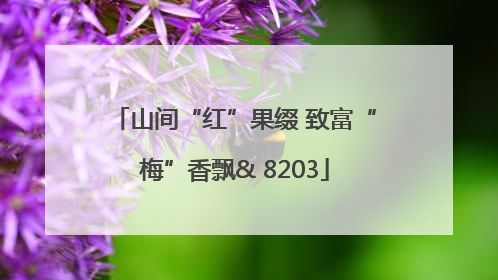 山间“红”果缀 致富“梅”香飘& 8203
