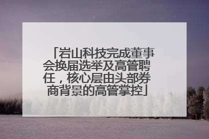 岩山科技完成董事会换届选举及高管聘任，核心层由头部券商背景的高管掌控