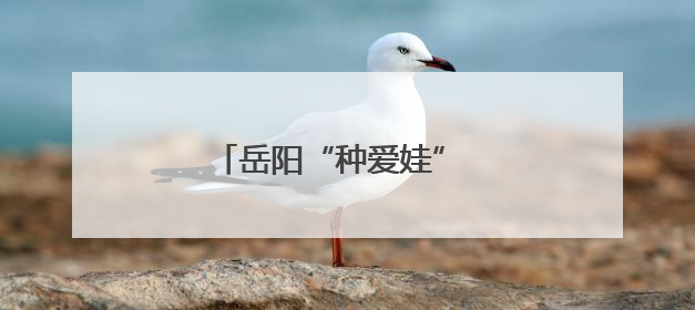 岳阳“种爱娃” 北京过“六一”