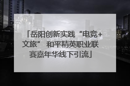 岳阳创新实践“电竞+文旅” 和平精英职业联赛嘉年华线下引流