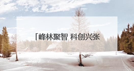 峰林聚智 科创兴张丨张家界旅典文化经营有限公司博士创新站：让土家织锦“智”造出非遗新传奇