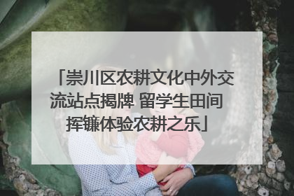 崇川区农耕文化中外交流站点揭牌 留学生田间挥镰体验农耕之乐