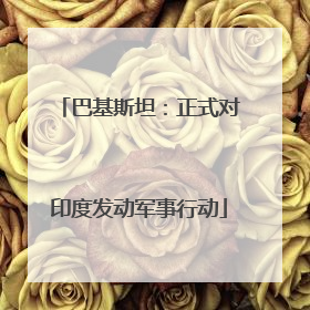 巴基斯坦：正式对印度发动军事行动
