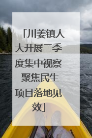 川姜镇人大开展二季度集中视察 聚焦民生项目落地见效