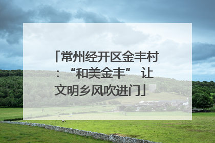 常州经开区金丰村：“和美金丰” 让文明乡风吹进门