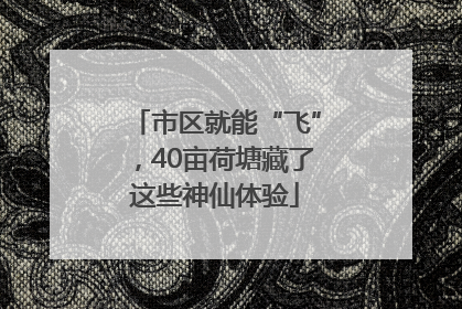 市区就能“飞”，40亩荷塘藏了这些神仙体验