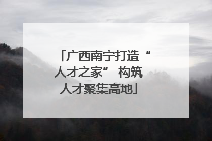 广西南宁打造“人才之家” 构筑人才聚集高地