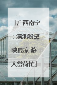 广西南宁：满池粉黛映夏凉 游人赏荷忙