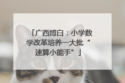 广西博白：小学数学改革培养一大批“速算小能手”