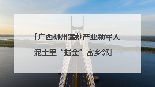 广西柳州莲藕产业领军人泥土里“掘金”富乡邻