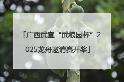 广西武宣“武粮园杯”2025龙舟邀请赛开桨